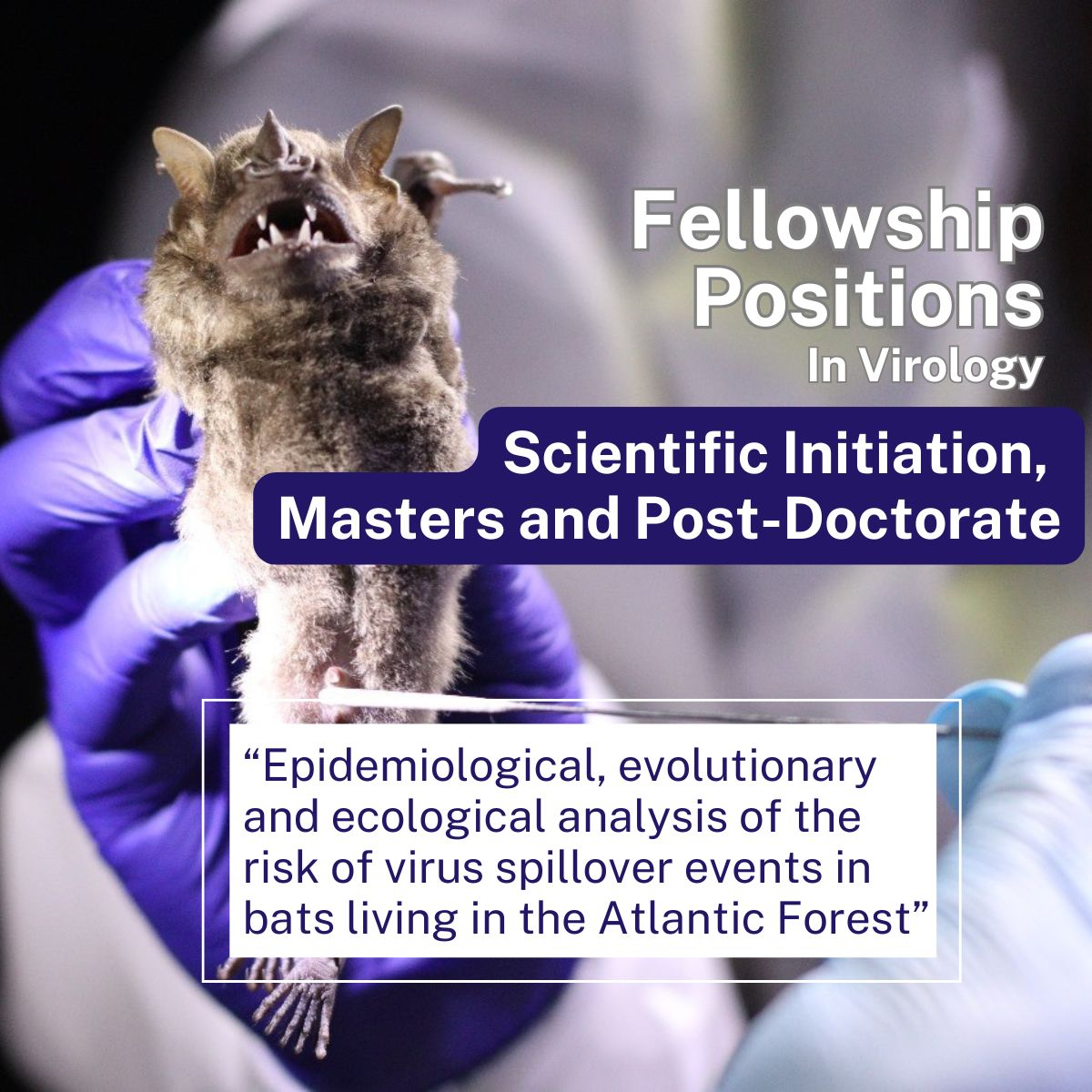 Fellowship positions in Virology at the Institut Pasteur de São Paulo