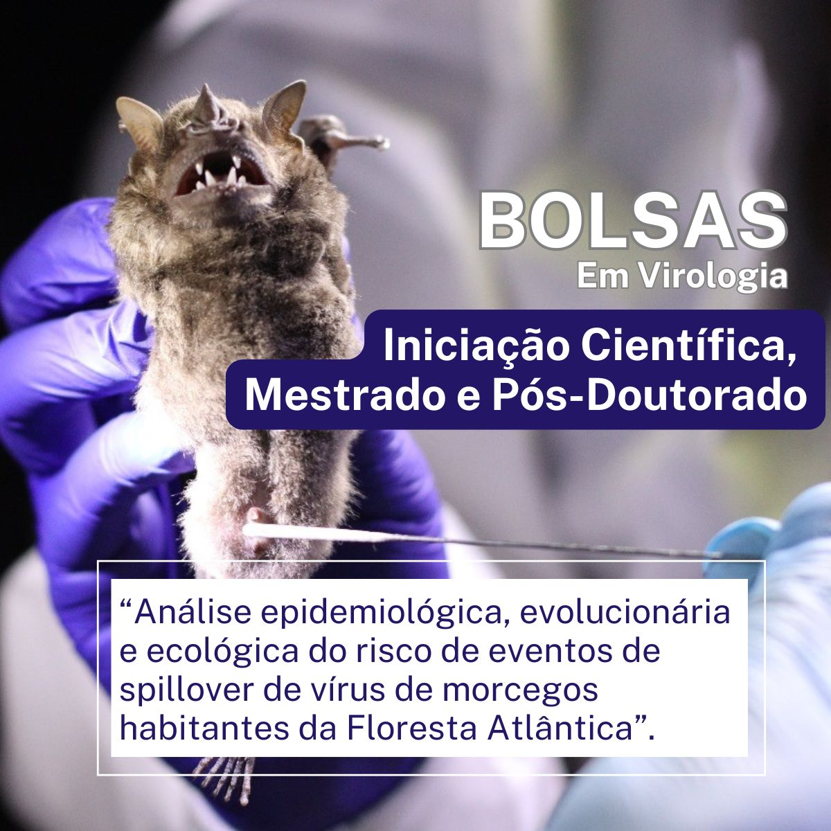 Oportunidades de bolsas em Virologia no Institut Pasteur de São Paulo