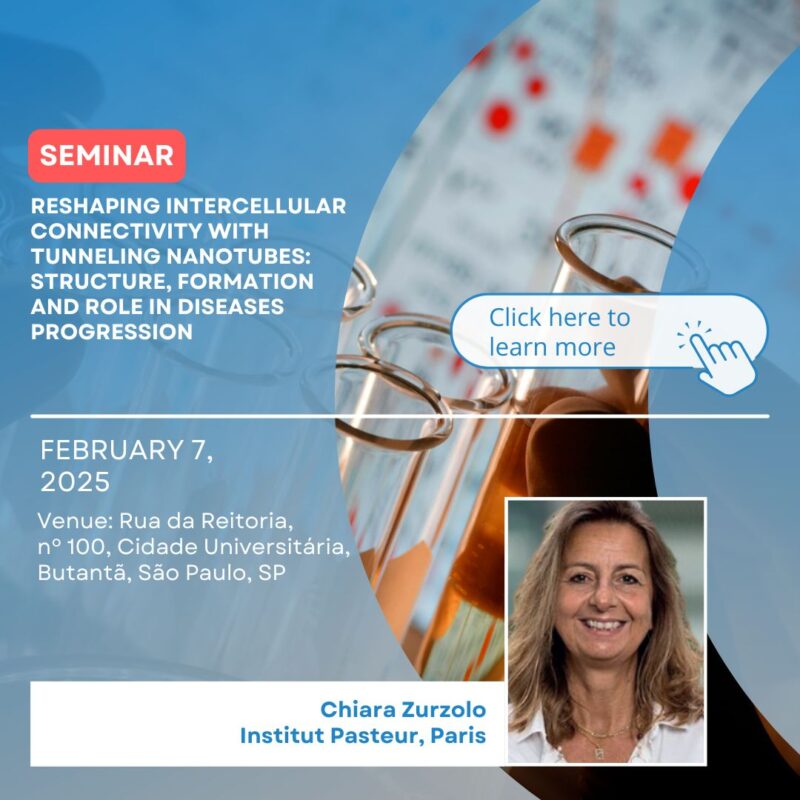 Seminar: Reshaping Intercellular Connectivity with Tunneling Nanotubes: Structure, Formation and Role in Diseases Progression